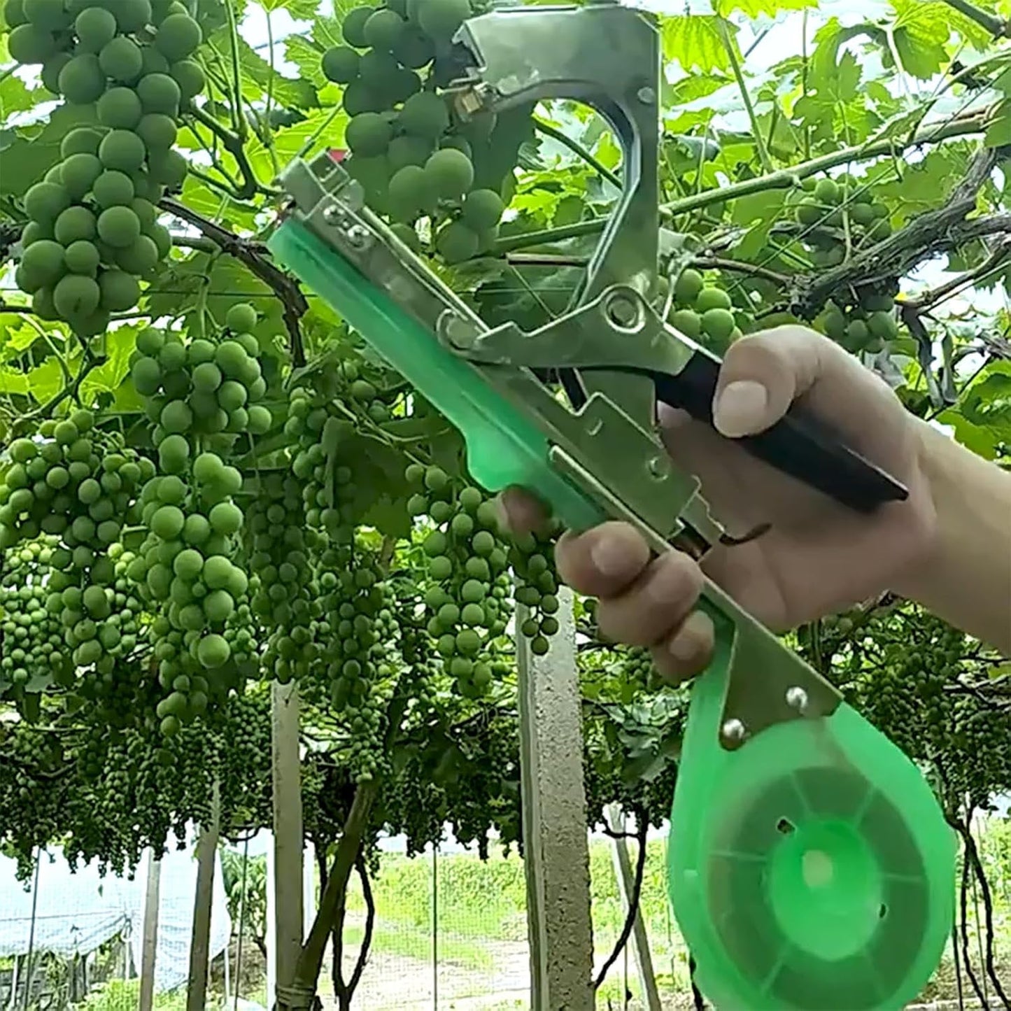 ✨Plant Tying Machine Tool Plant Tying Machine with Green Tape Stem Tie Orchard Manual Stem Tie for Grape Tomato Cucumber Vines