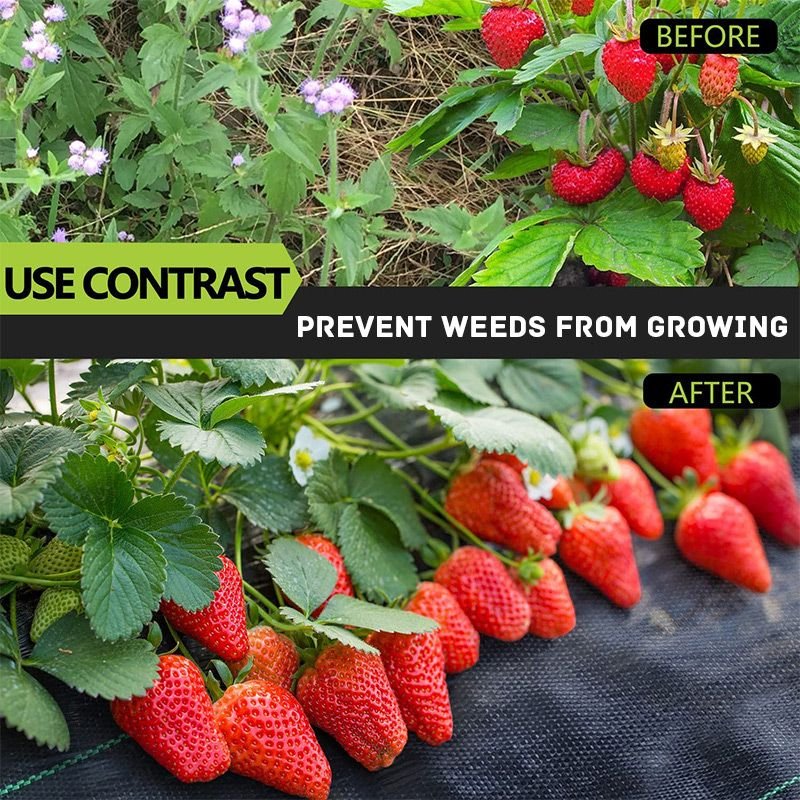 2025-new-arrival-biodegradable-weed-barrier-fabric-4052