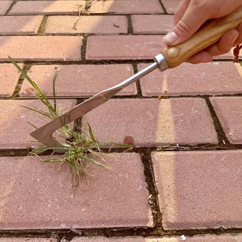 🔥2026 Summer Hot Sale 49% OFF🔥 New Crack Weeder Tool Crevice Cleaning Tool