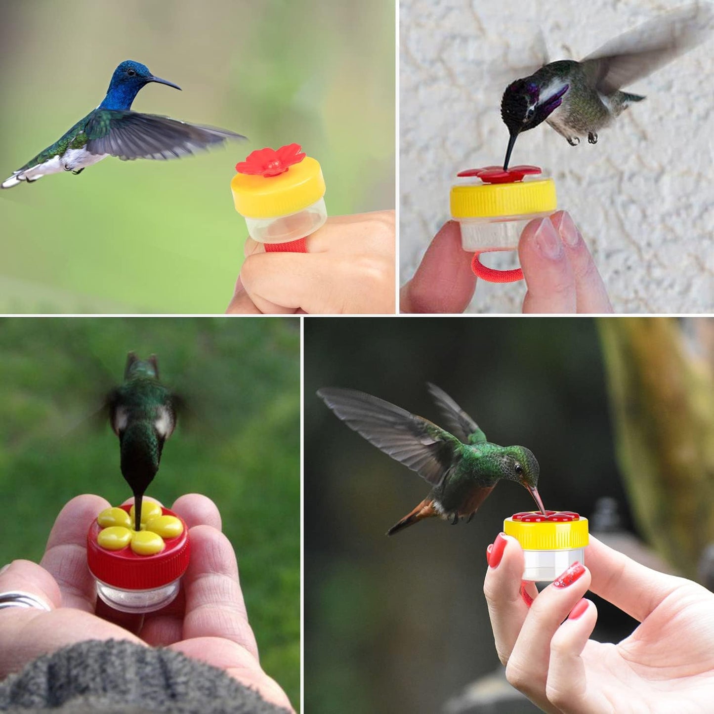 ✨ 4PCS Handheld Ring Hummingbird Feeder🐦
