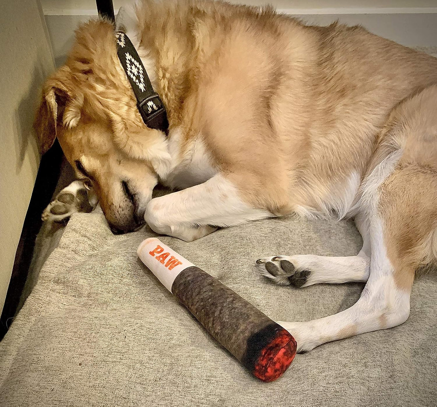🎖️Funny Dog Toys - Plush Squeaky Toys