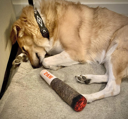 🎖️Funny Dog Toys - Plush Squeaky Toys