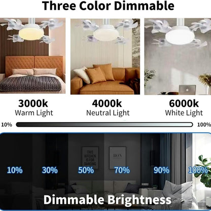 ✨24-Hour Flash Deal⏰Ceiling Fan Light with Remote Control💡❄️