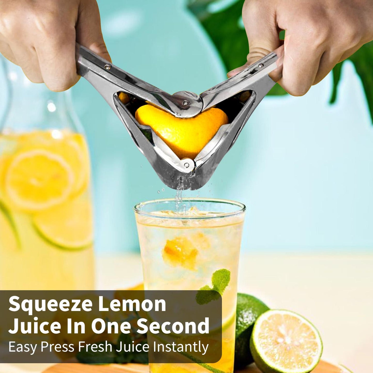 citrus-squeezer-stainless-steel-or-pp-5856