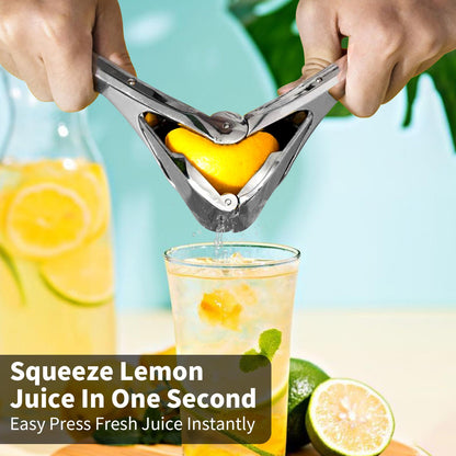 citrus-squeezer-stainless-steel-or-pp-5856