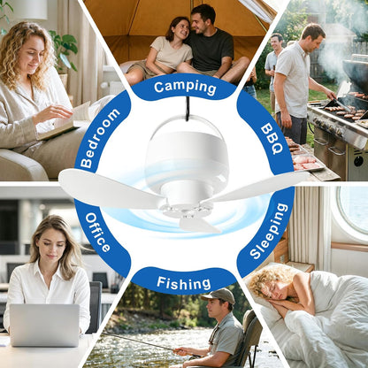 ✨Magnetic Ceiling Fan for Cruise, Small USB Rechargeable Portable Travel Fan with Ultra-Quiet Motor & LED Light