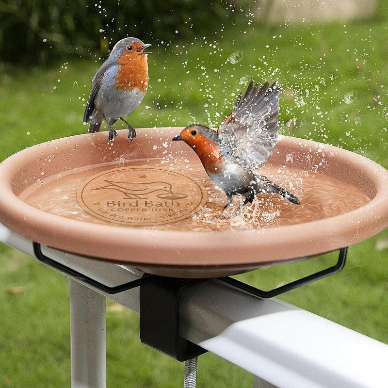 🔥Purifies Bird Bath Water