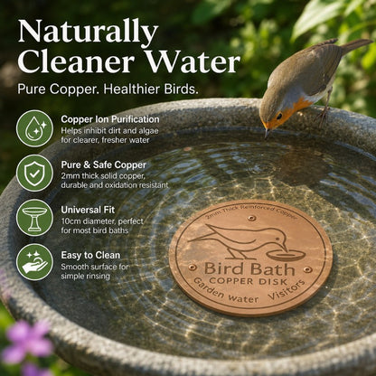 🔥Purifies Bird Bath Water