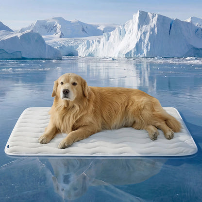 ✨🐶Washable Cooling Dog Mat, ❄️Non-Slip Summer Crate Bed for Large Dogs, No Gel & No Electric