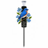 Blue Robin