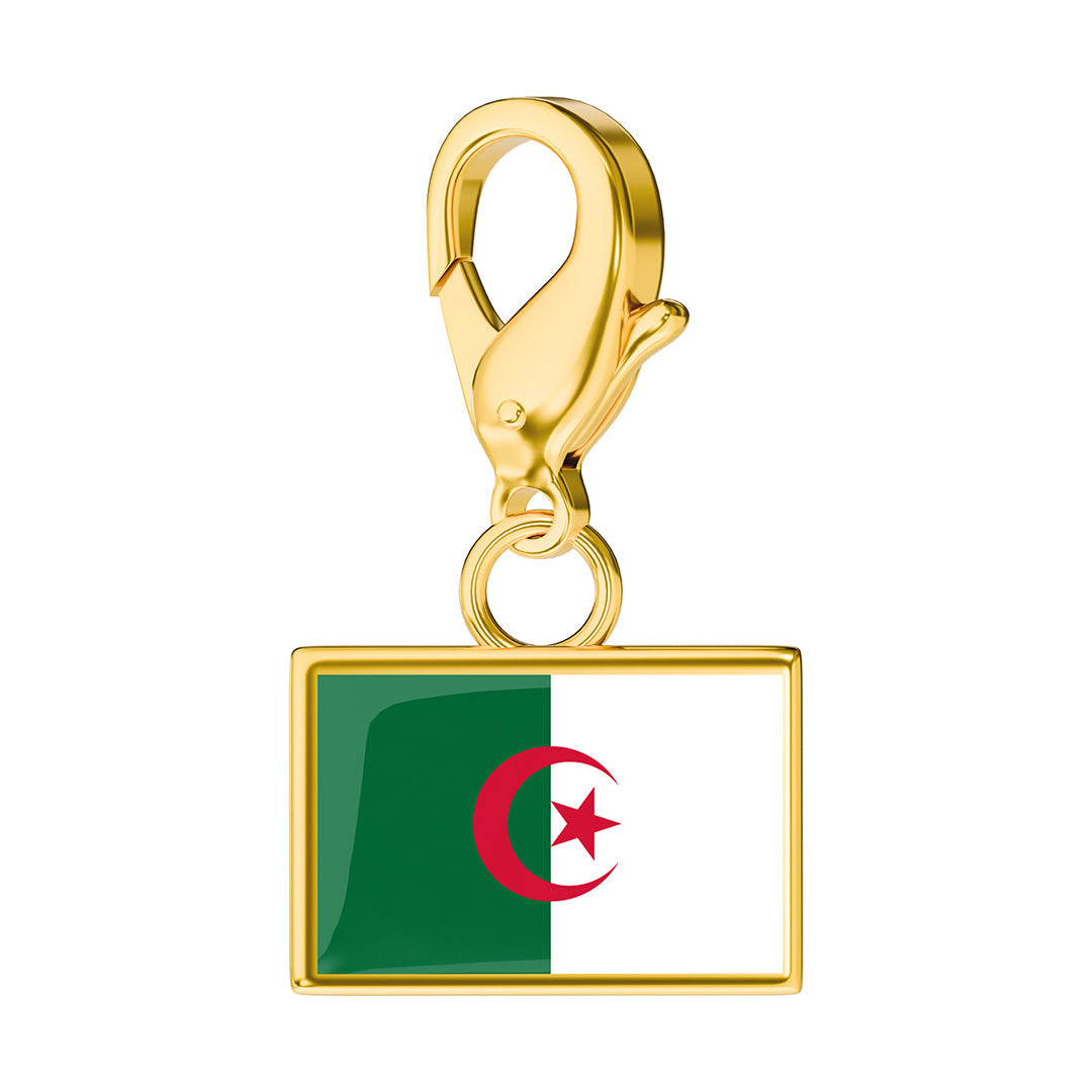✨Flag & Map Charms Set