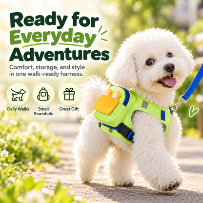 ✨Cute Backpack Harness Small Pack