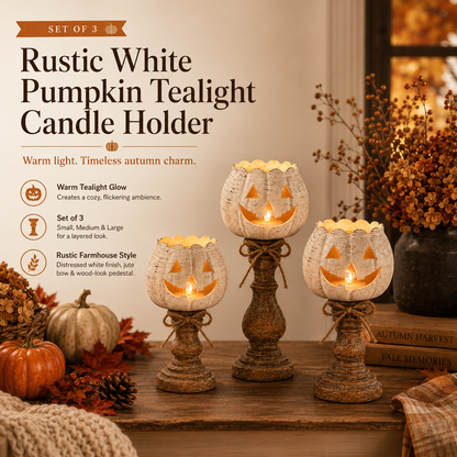 ✨Rustic White Pumpkin Tealight Candle Holder Set of 3