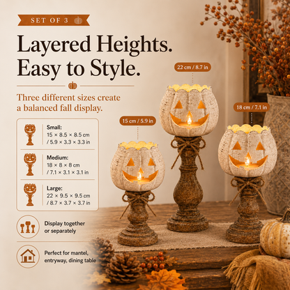 🔥Rustic White Pumpkin Tealight Candle Holder Set