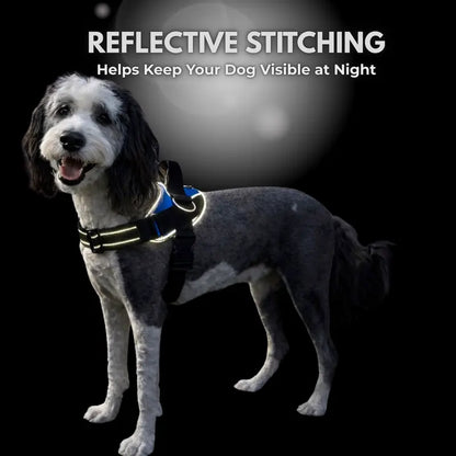❤️No-Pull Dog Harness – 3-Point Leash Control. Reflective & Adjustable