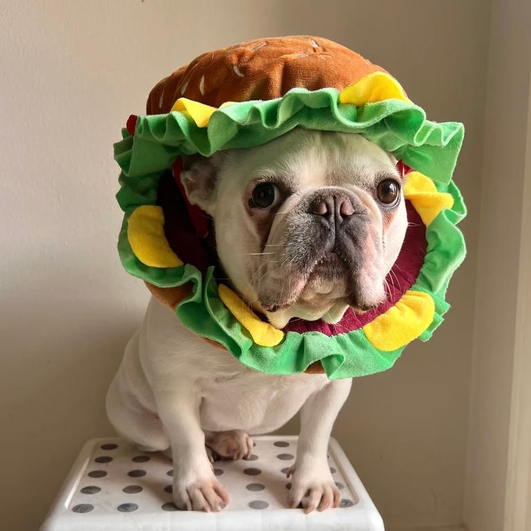 Pet Burger Plush Hat for Cats and Dogs - Lil Wild Pets
