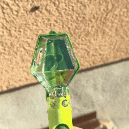 ✨🐞 Bug Catcher Explorer Toy