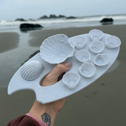✨ لوحة ألوان بشكل صدفة بحر 🐚