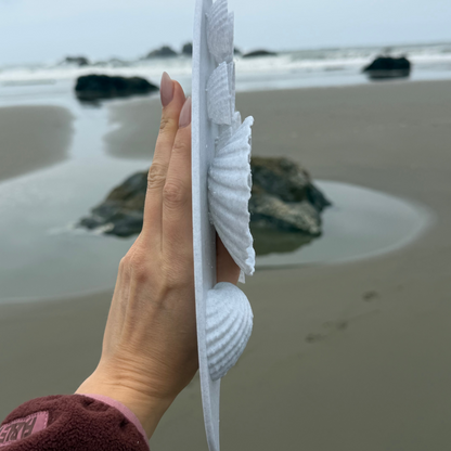 ✨ لوحة ألوان بشكل صدفة بحر 🐚
