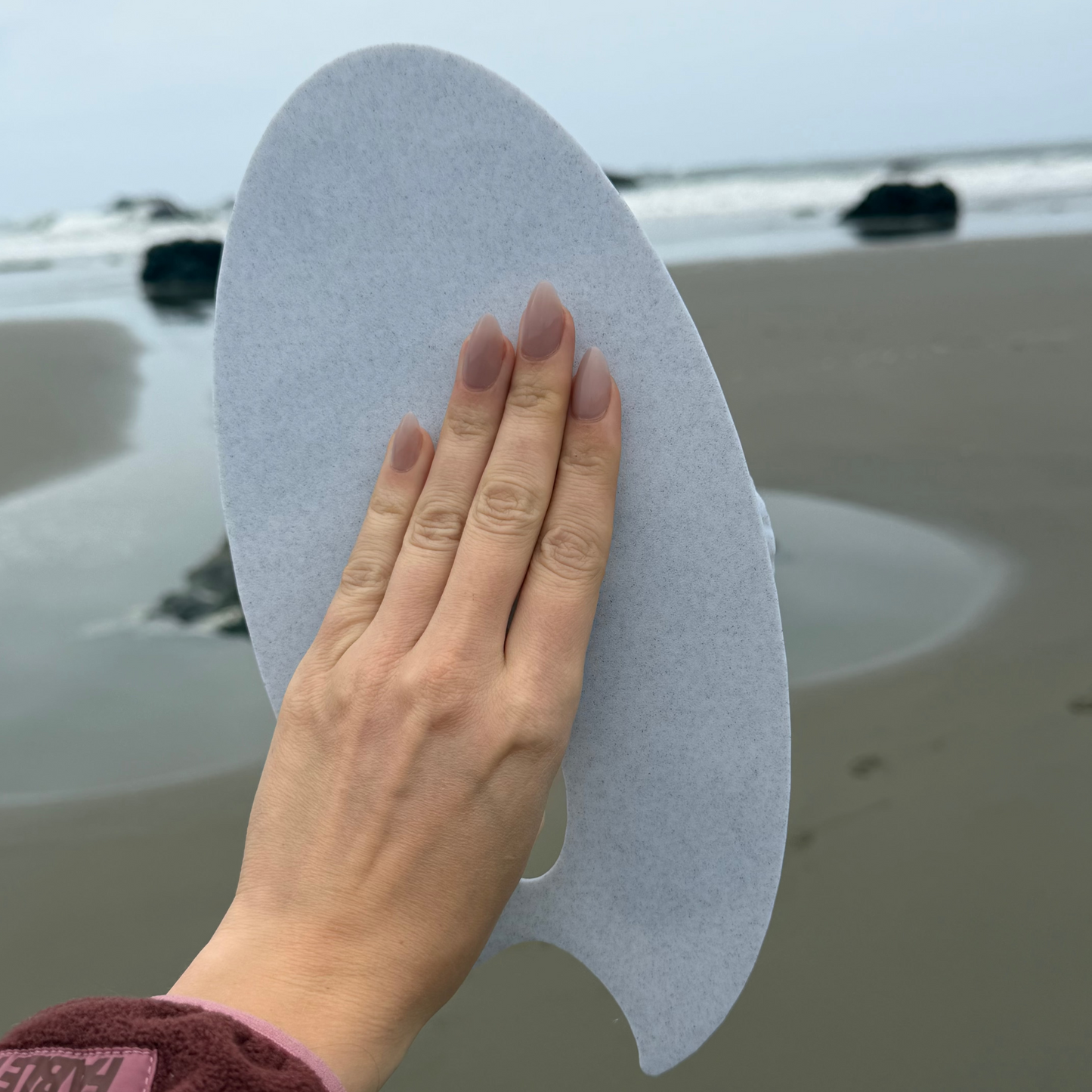 ✨ لوحة ألوان بشكل صدفة بحر 🐚