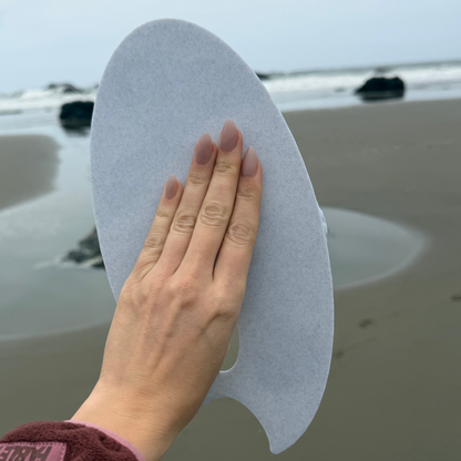 ✨ لوحة ألوان بشكل صدفة بحر 🐚