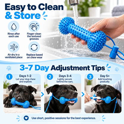 ✨Dog Dental Chew Helper🐕