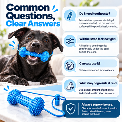 ✨Dog Dental Chew Helper🐕