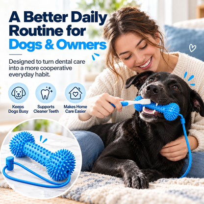 ✨Dog Dental Chew Helper🐕