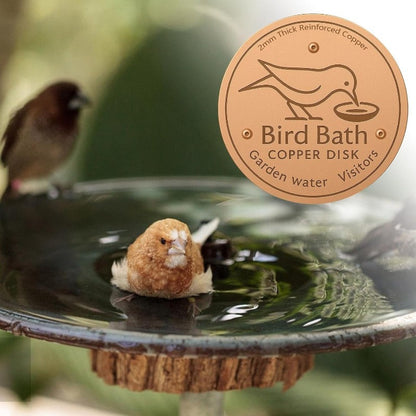 🔥Purifies Bird Bath Water