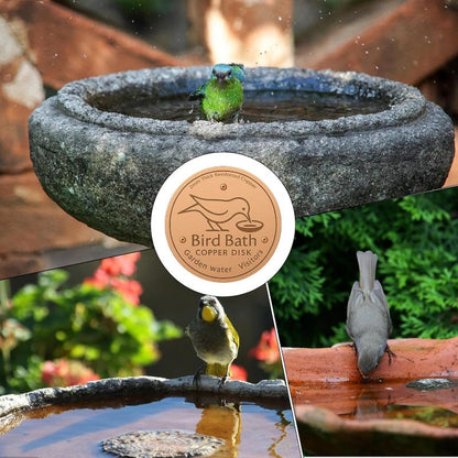 🔥Purifies Bird Bath Water