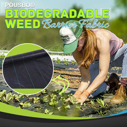 2025-new-arrival-biodegradable-weed-barrier-fabric-4052