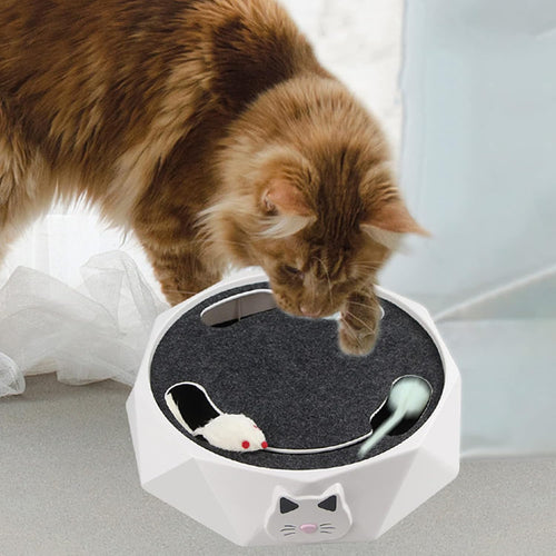 🔥Interactive Cat Turntable Toy