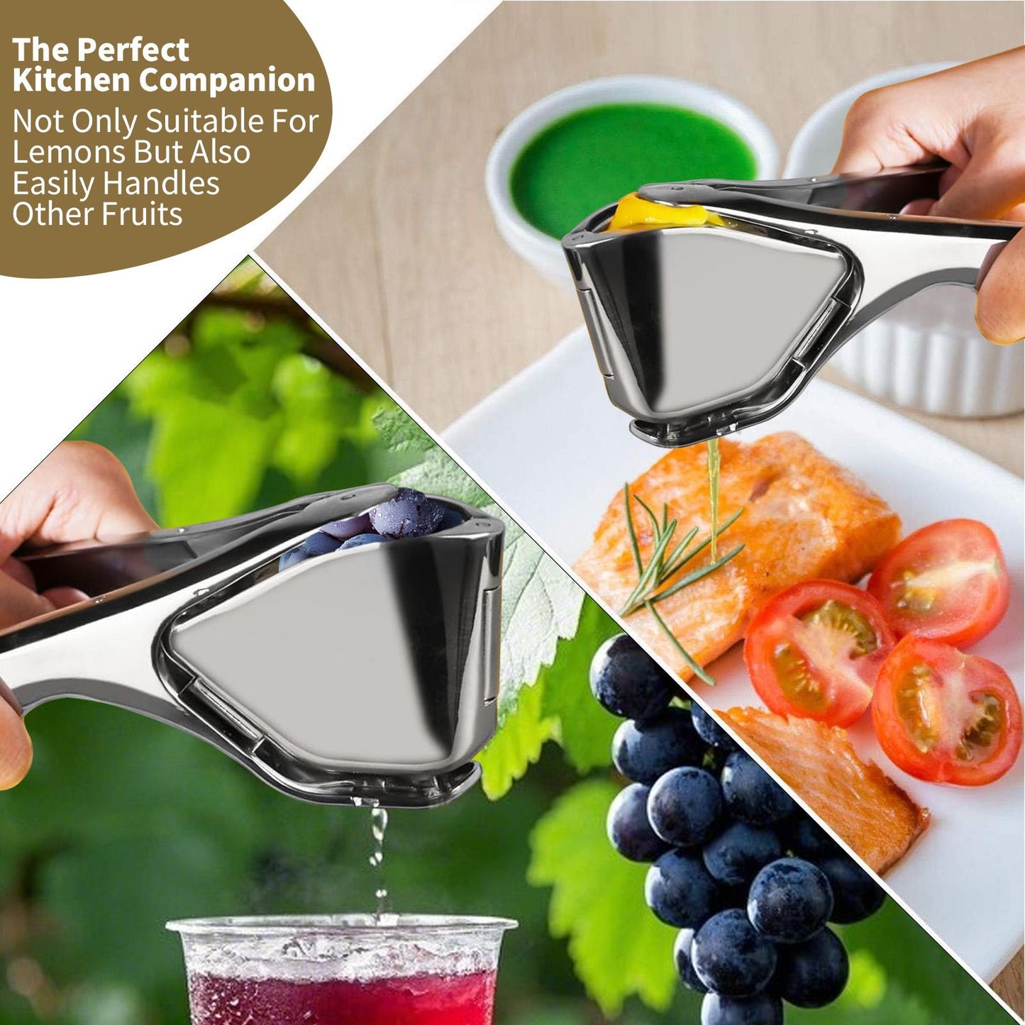 citrus-squeezer-stainless-steel-or-pp-5856