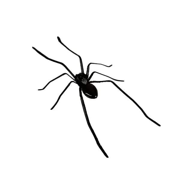 spider-fridge-magnetrealistic-spider-magnets-for-refrigerator-garage-door-or-car-1652