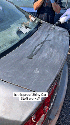 ✨LAST DAY ONLY 49% OFF✨🚗  Car Stuff - High Gloss Self-leveling Coating