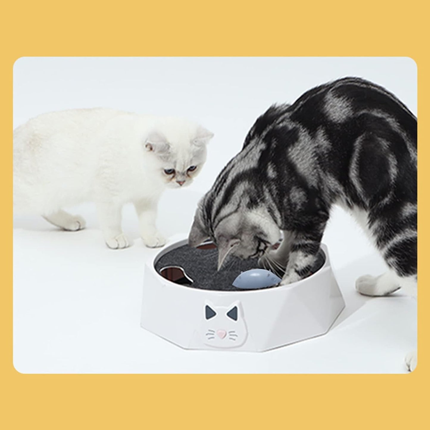 🔥Interactive Cat Turntable Toy