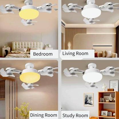 ✨24-Hour Flash Deal⏰Ceiling Fan Light with Remote Control💡❄️
