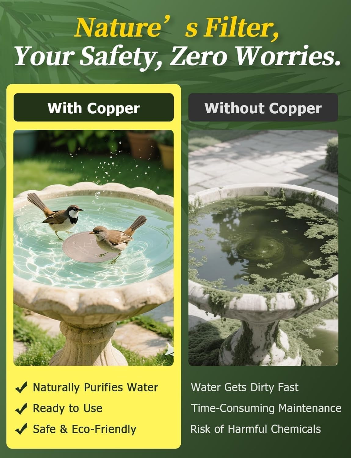 🔥Purifies Bird Bath Water