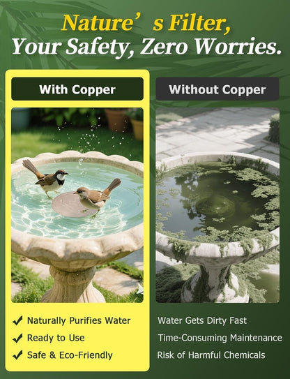 🔥Purifies Bird Bath Water