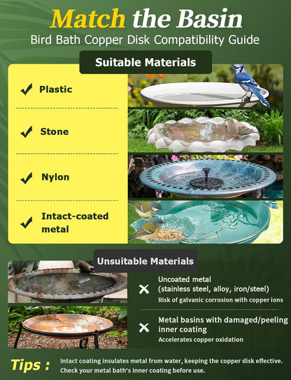 🔥Purifies Bird Bath Water