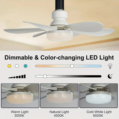 🔥LAST DAY SALE 50% OFF⏳40W LED Ceiling Fan Light – 20.5” Ultra-Quiet with Remote 🎯 | E27 + FREE B22 Adapter 🔌 | For Bedroom 😴, Kitchen 👩‍🍳 & Garage 🛠️
